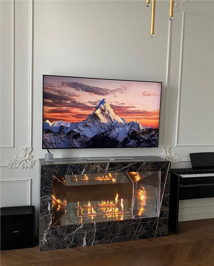 ethanol fireplace insert for existing fireplace Manufacturer